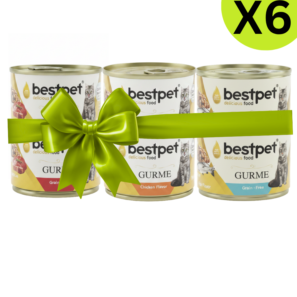 X6 Best Pet Gurme Adult Cat With ( 2 Beef , 2 Salmon And 2 Tuna &Anchovies ) Petfast.shop Bestpet Bundles Cat Exclude Food Wet Food petfast.shop EgyptDefault Title 351.00