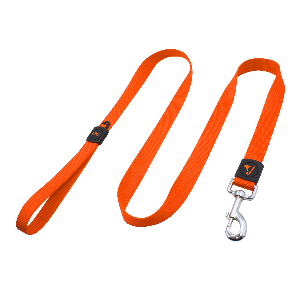 DOCO® 4ft Signature Nylon Dog Leash.