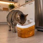 Automatic Pet Water Fountain With Battery 2 L