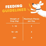 Feeding guidelines for dogs with a cartoon dog holding a bone on an orange background