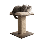 Two cats on a wooden cat tree with sisal-wrapped post against a white background