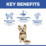 Hill's Science Plan Small & Mini Adult Dog Food with Chicken Petfast.shop Hill's Dog Dry Food Food petfast.shop Egypt1.5Kg 1040.00