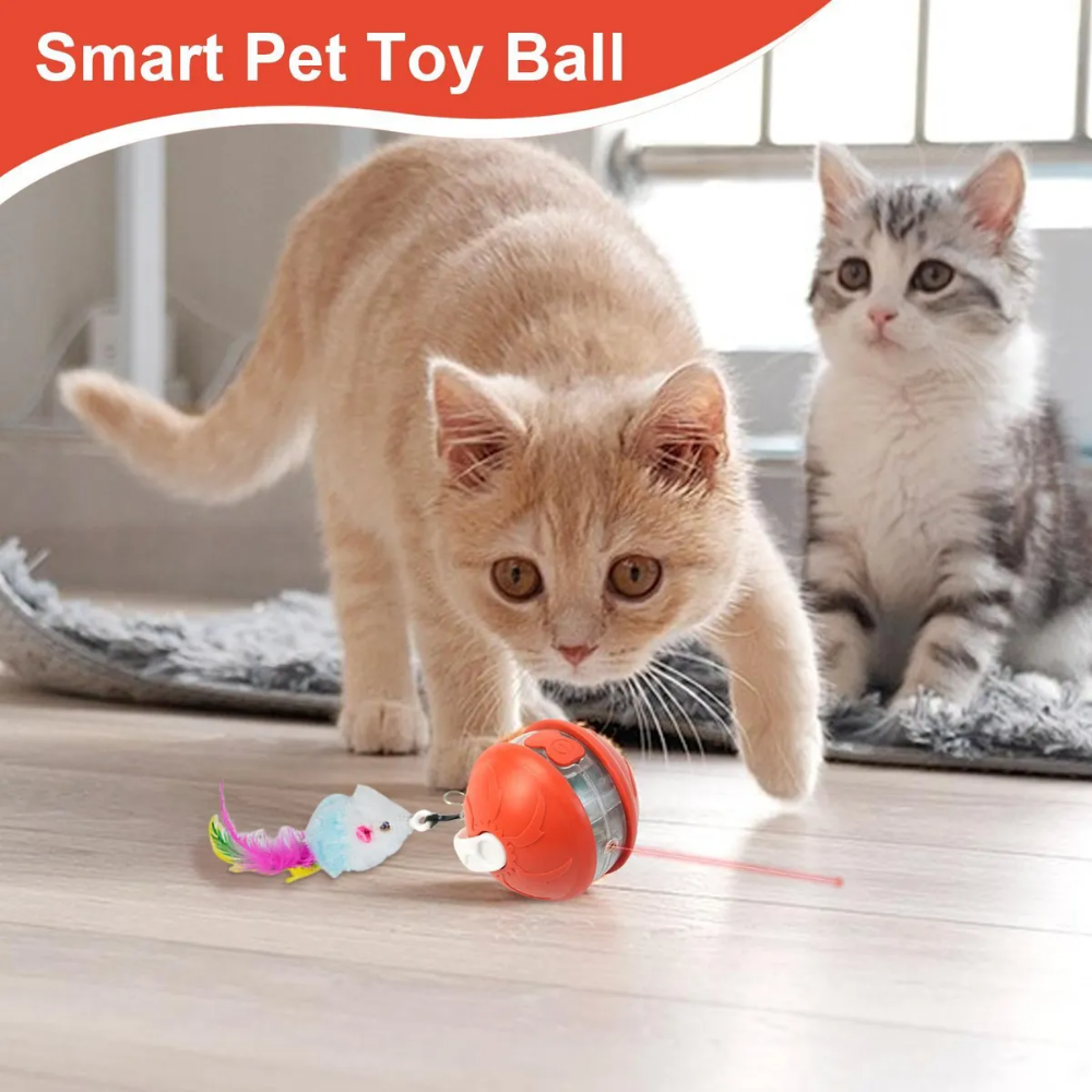Two cats playing with a smart pet toy ball on a wooden floor.
