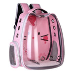 Pink pet carrier backpack with cartoon design on a white background
