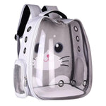 Clear pet carrier with cartoon cat design on a white background