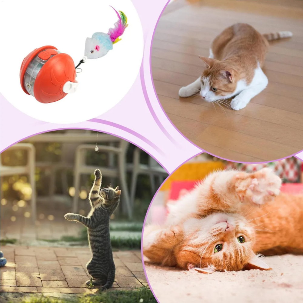 Cat toy with a mouse attachment and cats playing with it.