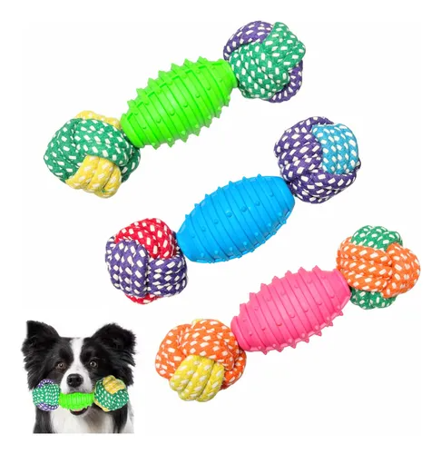 Colorful dog toys arranged in a circle with a dog holding a green toy.