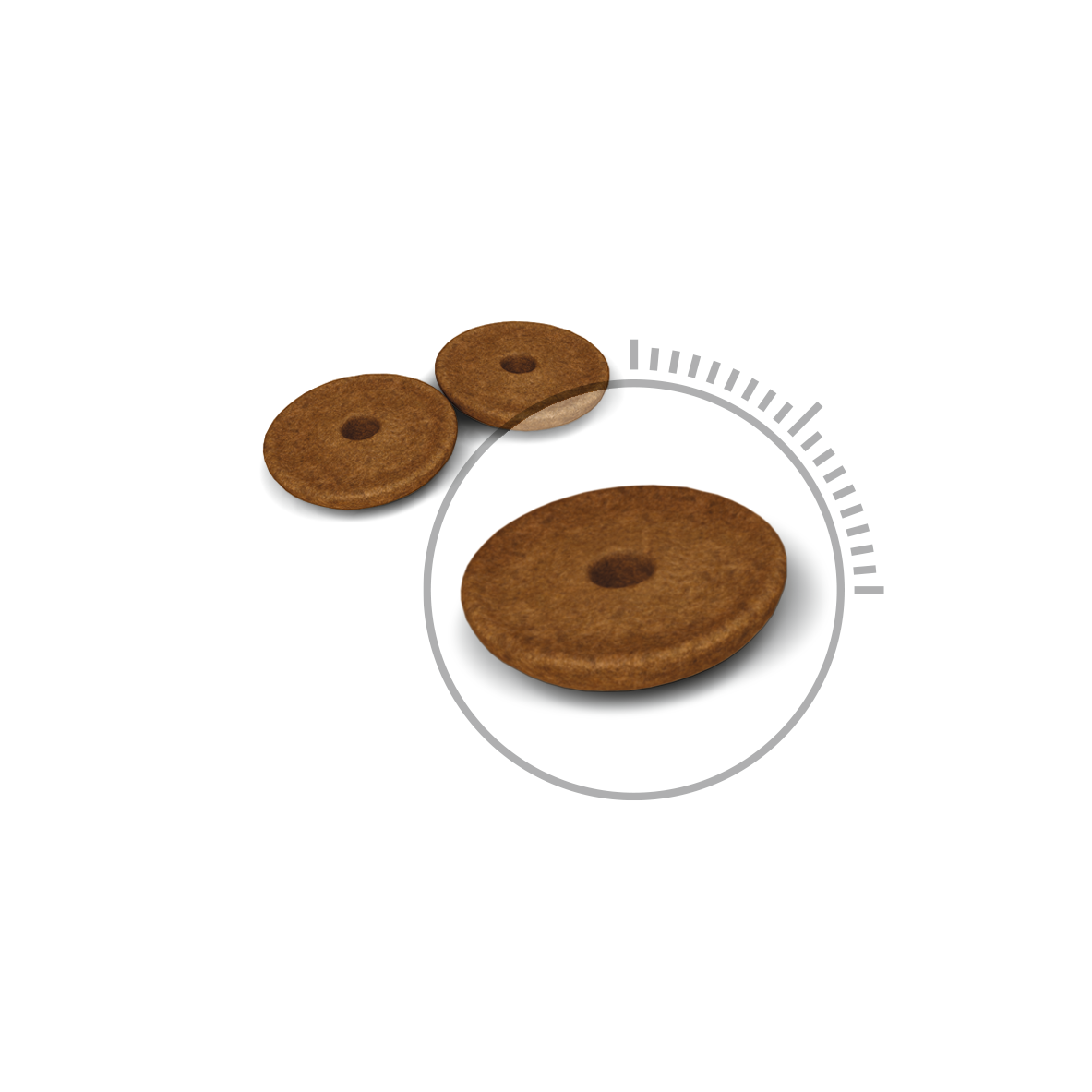 Royal Canin Digestive Care All Breeds Adult Cat Food.