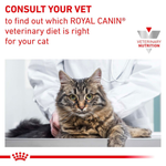 Royal Canin Early Renal All Breeds Adult Cat Food 1.5kg.