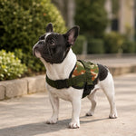 Petmoda Harness Military Style