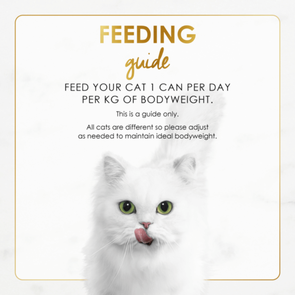 White cat with feeding guide text on a light background
