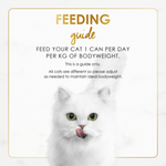 White cat with feeding guide text on a light background