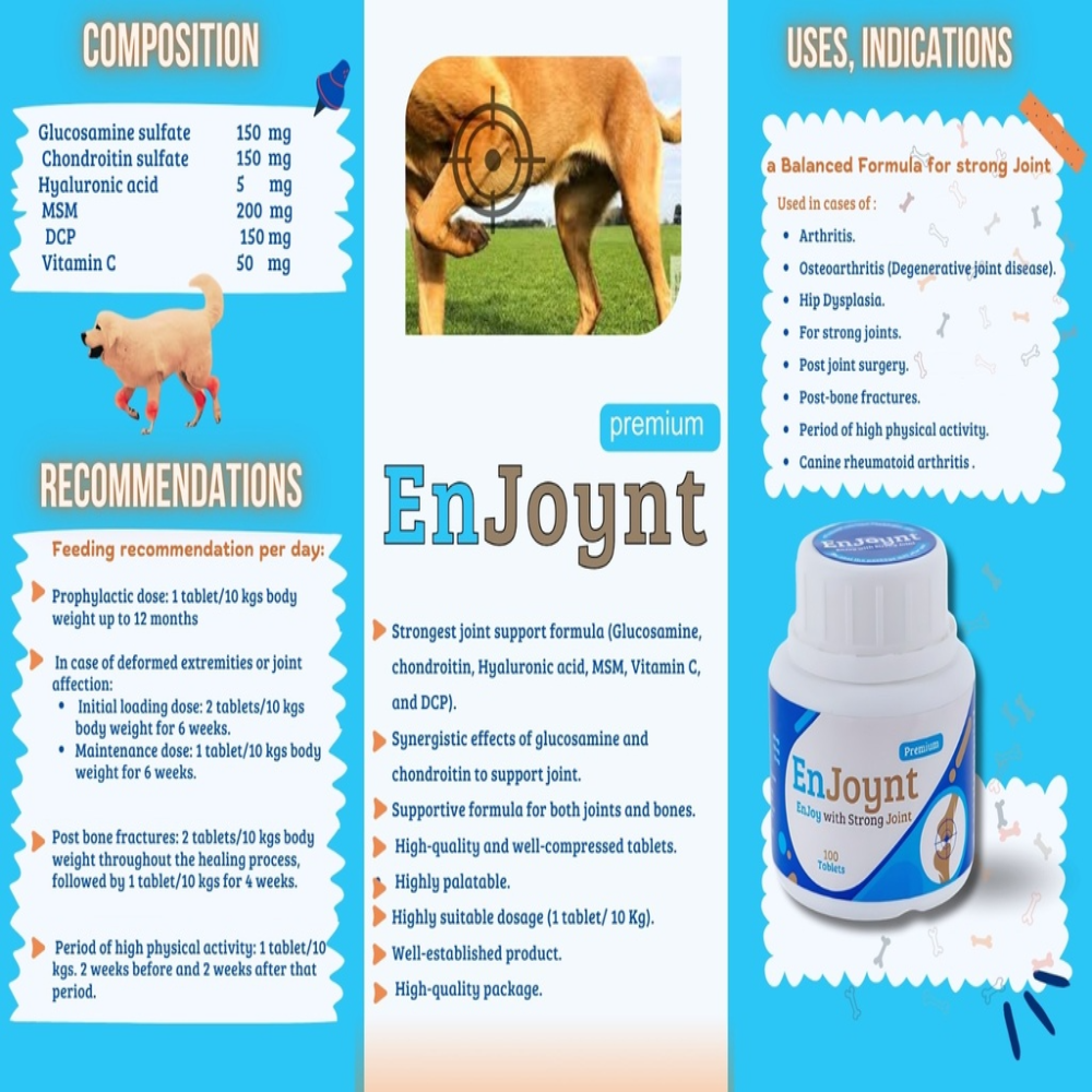 Brochure or flyer for EnJoynt joint support supplement for dogs, showing text and images of a dog and product packaging.