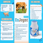 Brochure or flyer for EnJoynt joint support supplement for dogs, showing text and images of a dog and product packaging.