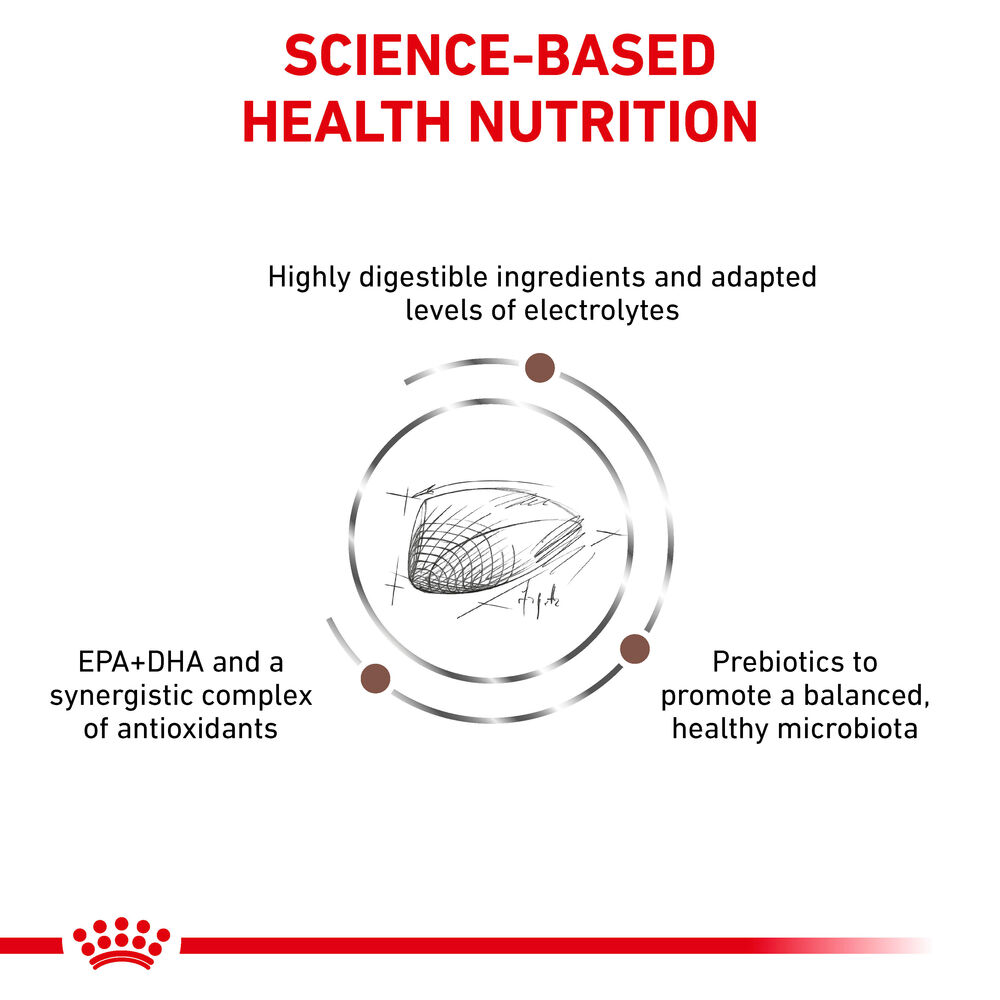 Royal Canin Gastrointestinal All Breeds Adult Cat Food.