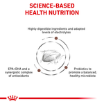 Royal Canin Gastrointestinal All Breeds Adult Cat Food.