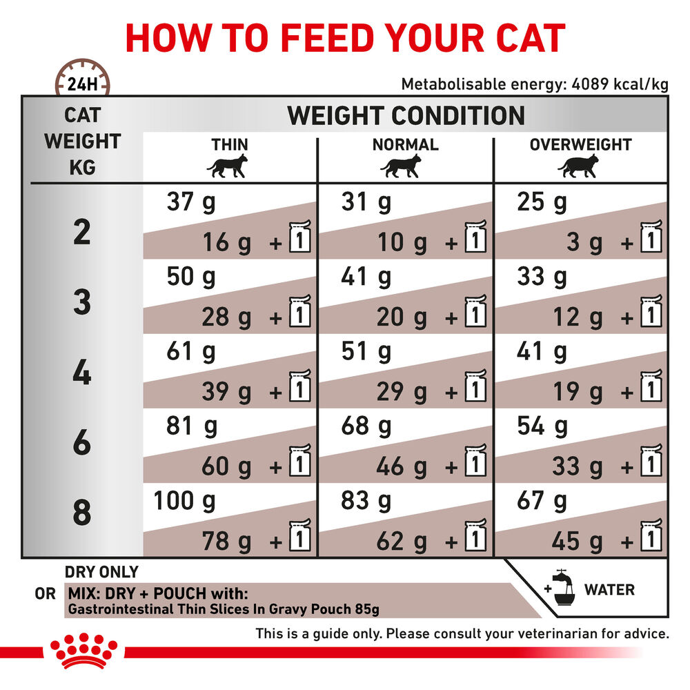 Royal Canin Gastrointestinal All Breeds Adult Cat Food.