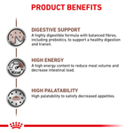 Royal Canin Gastrointestinal All Breeds Adult Cat Food.