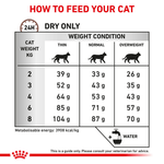 Royal Canin Gastrointestinal Fibre Response All Breeds Adult Cat Food.