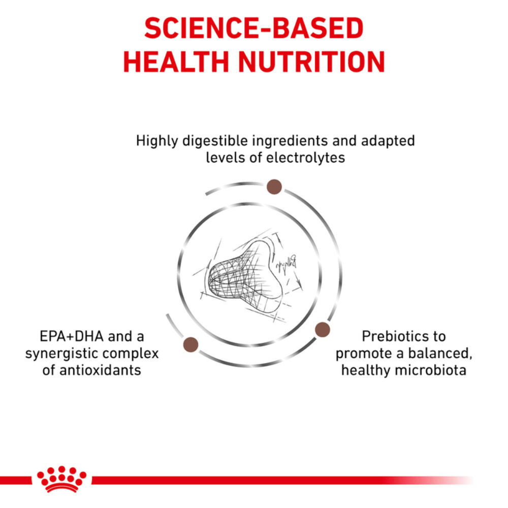 Royal Canin Gastrointestinal Fibre Response All Breeds Adult Cat Food.