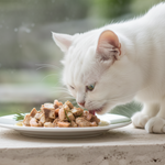 White cat eating from a plate of food on a wooden surface with a blurred natural background