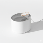 White container with a gray lid on a light gray background