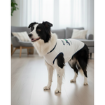 Dog wearing a white coat with a logo in a living room setting