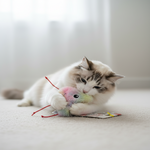 Cat playing with a colorful toy on a light surface