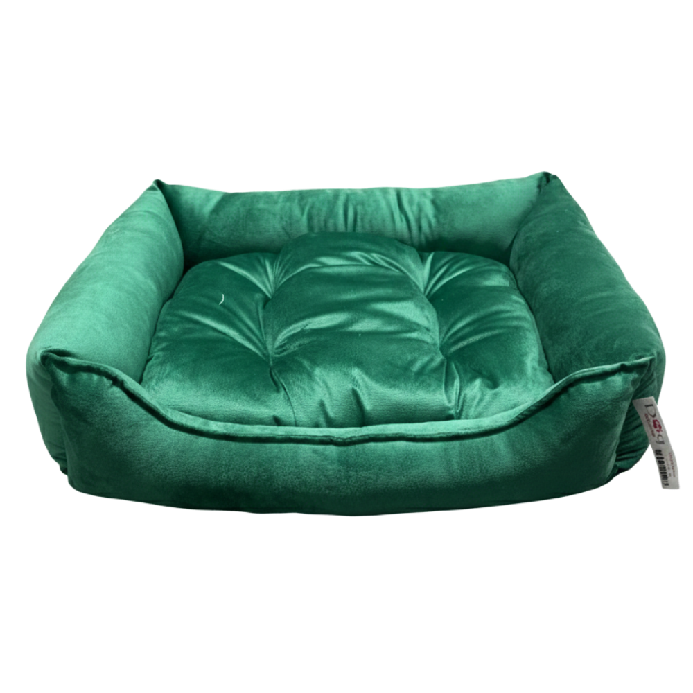 Green pet bed on a white background