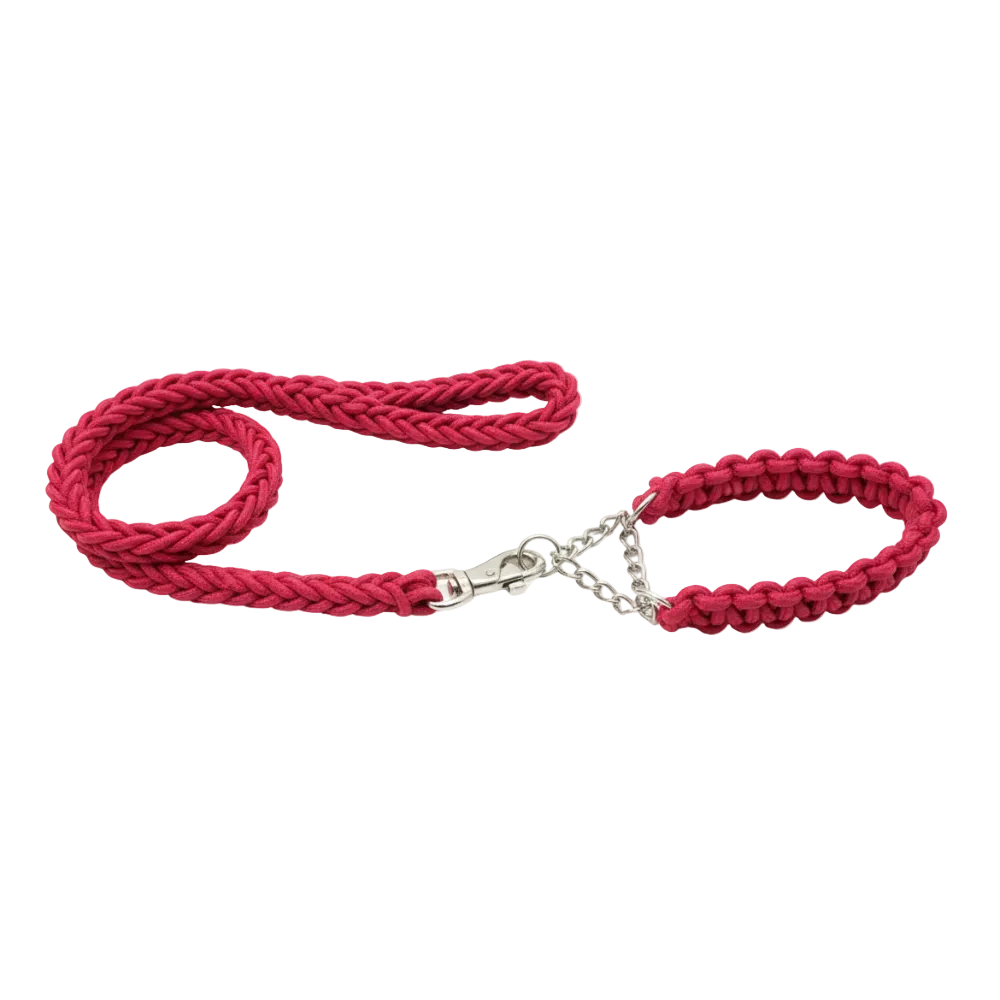 2-in-1 Heavy Duty Adjustable Dog Collar and Braided Loop Leash for Large and Medium Dogs.