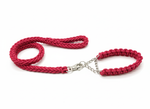 2-in-1 Heavy Duty Adjustable Dog Collar and Braided Loop Leash for Large and Medium Dogs.