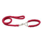 2-in-1 Heavy Duty Adjustable Dog Collar and Braided Loop Leash for Large and Medium Dogs.