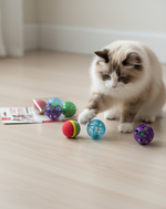 Nunbell Cat Toys 4 Ball