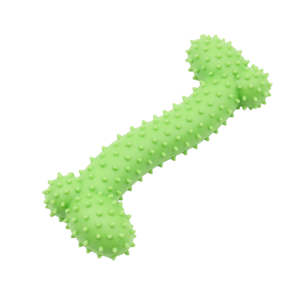 Green textured dog toy on a white background
