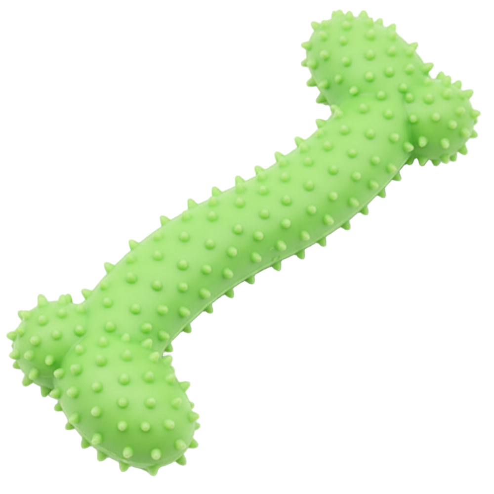 Green textured dog toy on a white background