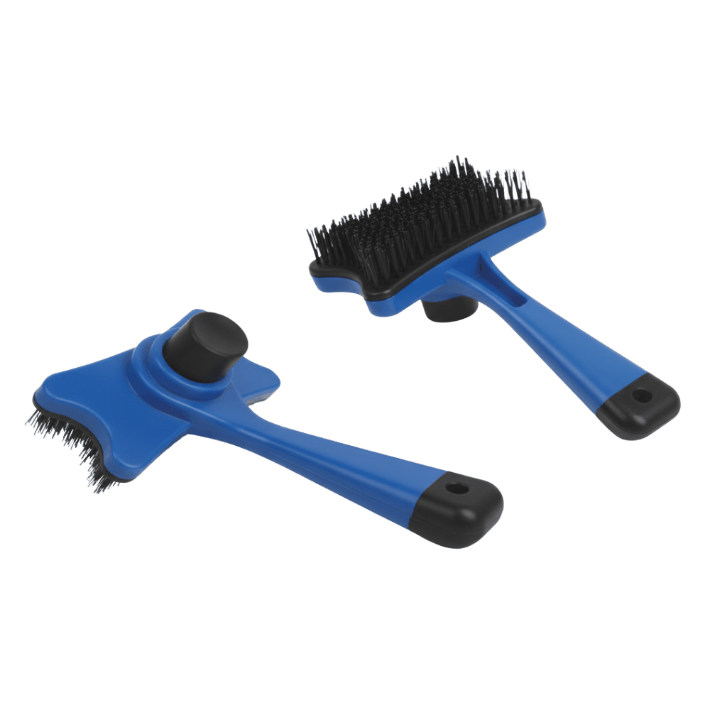 Naomi Pet brush Color: Blue.