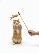Nunbell Cat Toy Stick Fish
