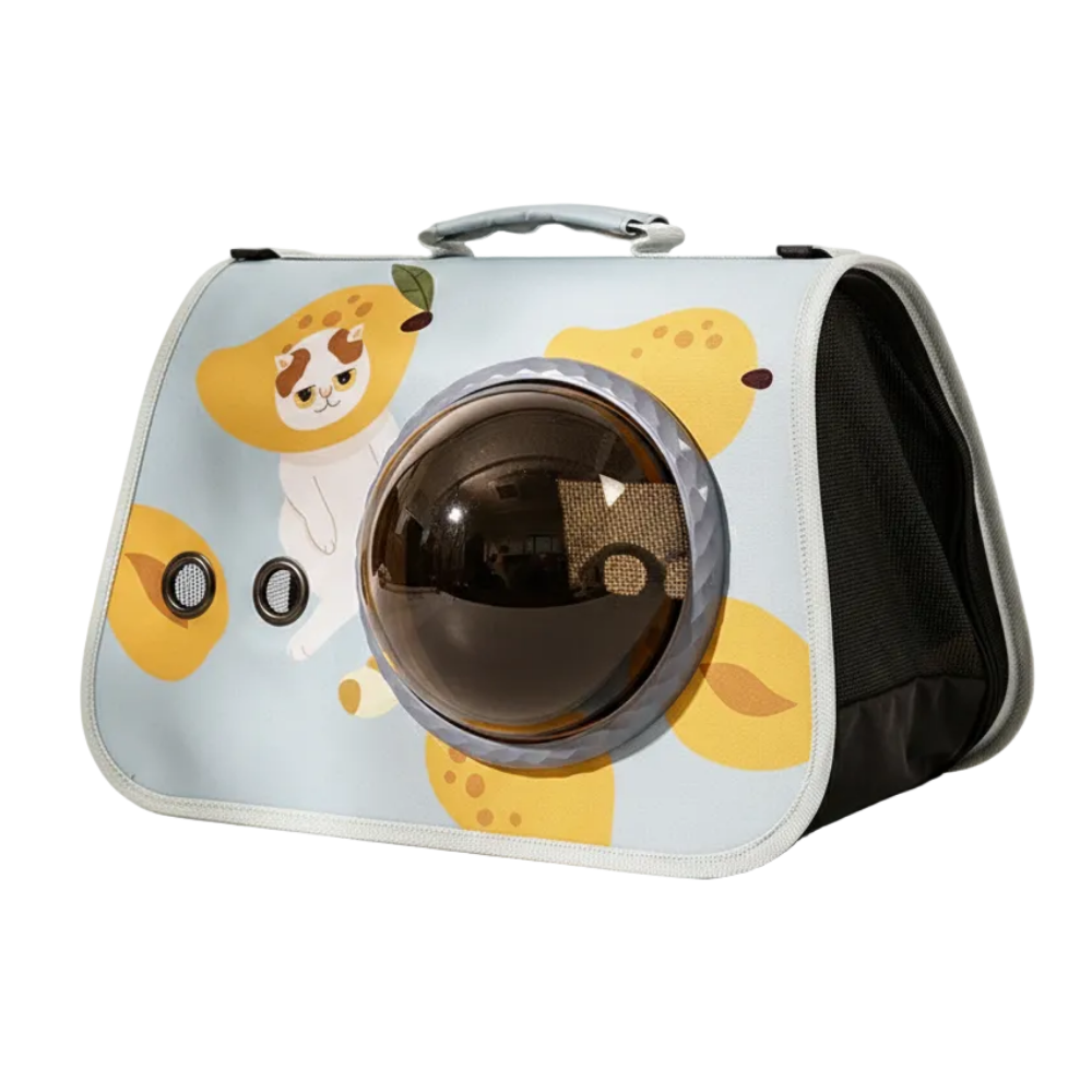 Pet carrier with cartoon design on a white background