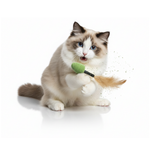 Cat playing with a toy on a white background