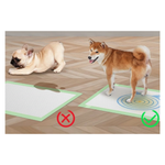 Two dogs on training mats with a diagram showing correct and incorrect positions.