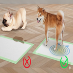 Two dogs on mats with a diagram showing correct and incorrect positions.