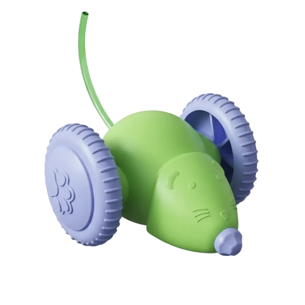 Cat Toy Car & Mouse Smart.