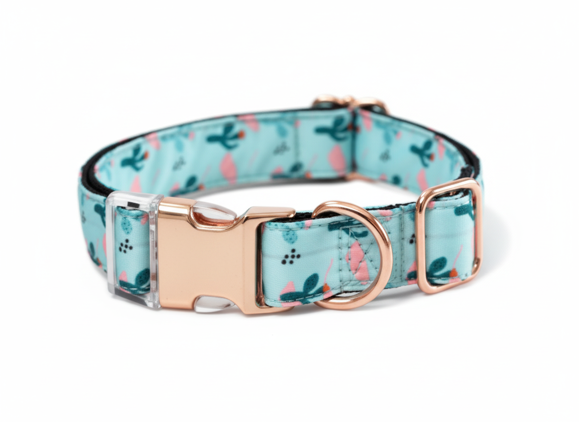 Naomi collar Size Medium.