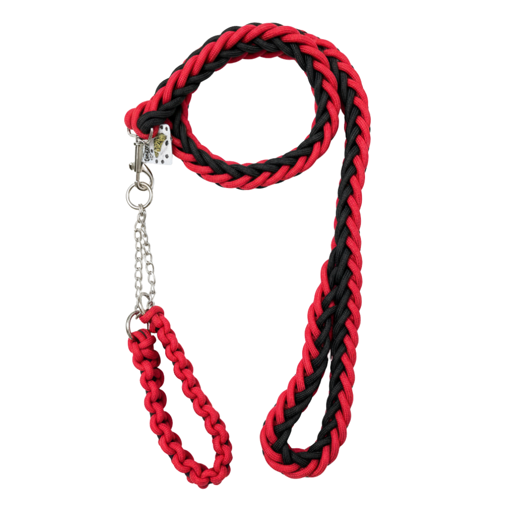 MouSsa Nylon Pet Collars Dog Rope Leash XL.
