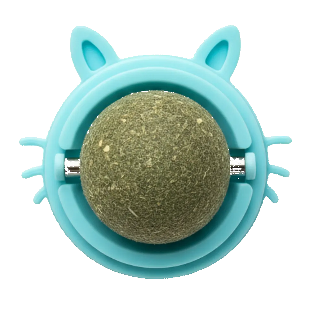 Turquoise cat toy with a green ball inside on a white background
