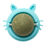 Turquoise cat toy with a green ball inside on a white background