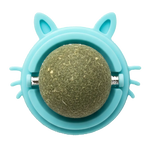 Turquoise cat toy with a green ball inside on a white background