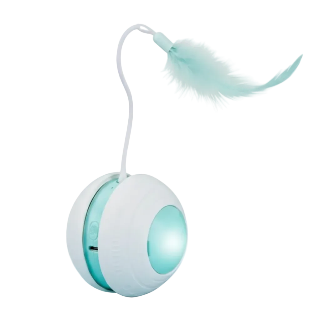 Interactive Cat Ball with Bird Sound, LED Light.