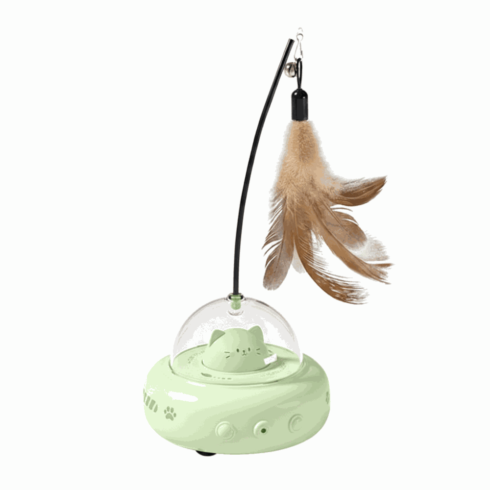 Green cat toy with a feather on a white background
