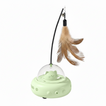 Green cat toy with a feather on a white background